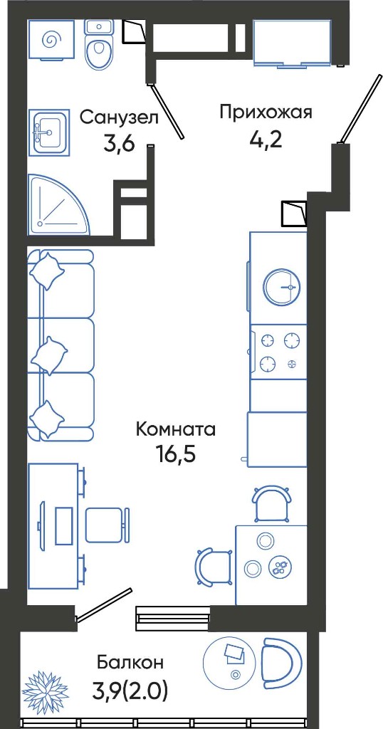 Планировка студии 23,3 м²